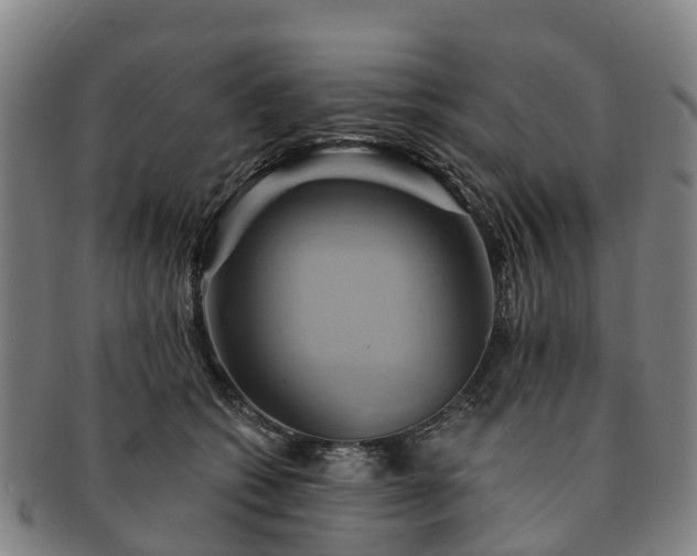 X0000091590562200708271246