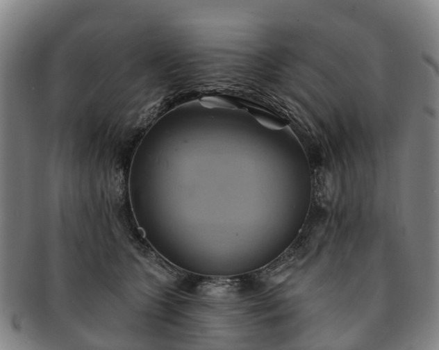 X0000091590563200708271246