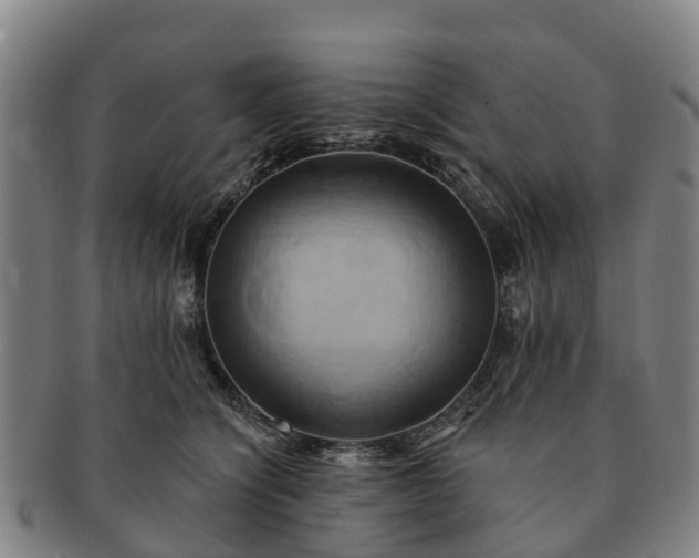 X0000091590564200708271246