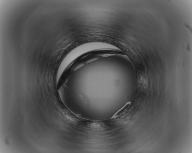 X0000091590566200708271246