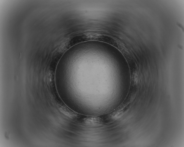 X0000091590567200708271246