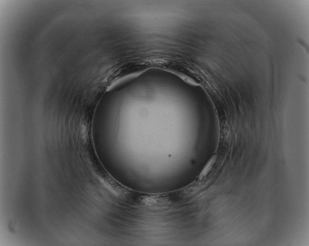 X0000091590568200708271246
