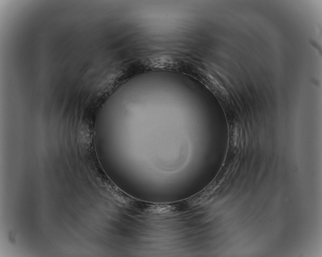 X0000091590569200708271246