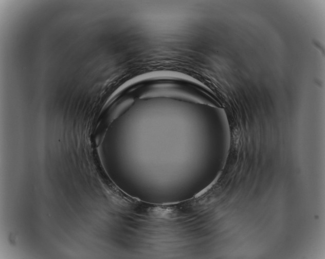 X0000091590570200708271246