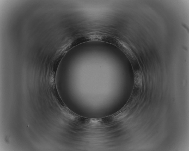 X0000091590573200708271246