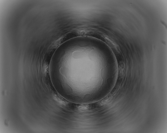 X0000091590574200708271246