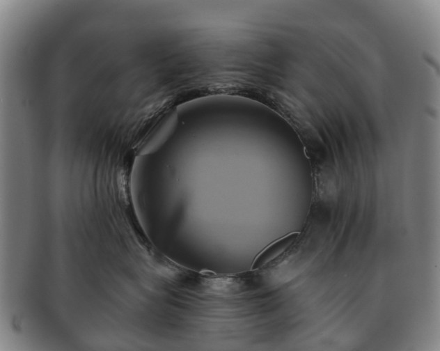 X0000091590575200708271246