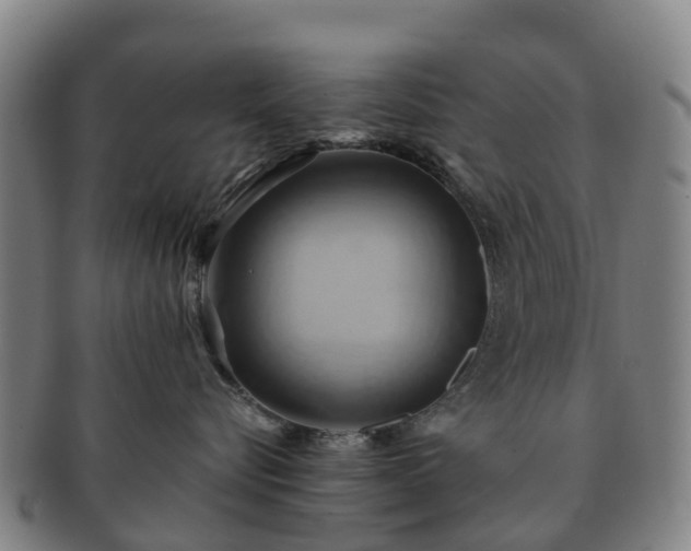 X0000091590576200708271246