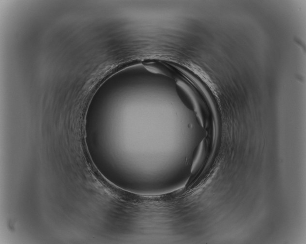 X0000091590577200708271245