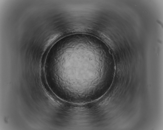 X0000091590578200708271245