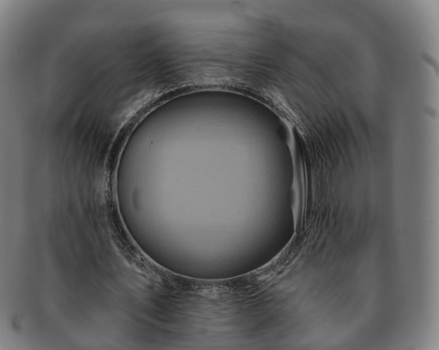 X0000091590579200708271245