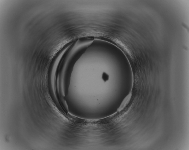 X0000091590581200708271245