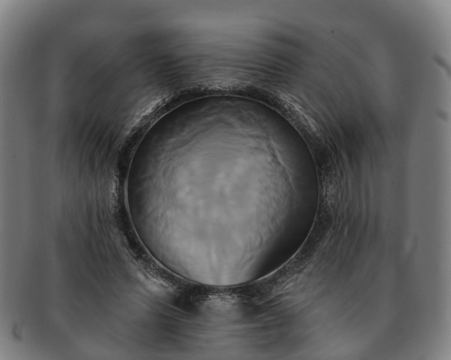X0000091590591200708271245
