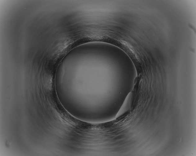 X0000091590596200708271245