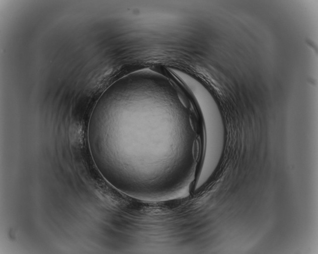 X0000091590597200708271245
