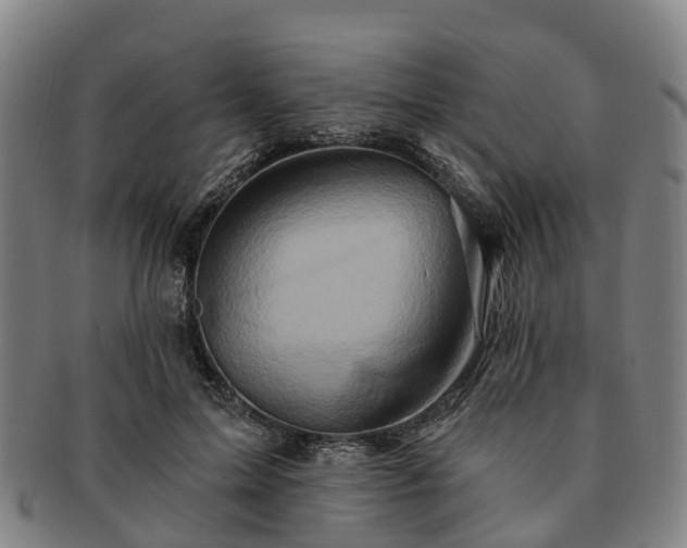 X0000091590599200708271245