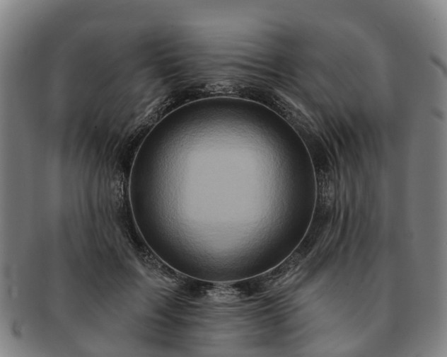 X0000091590603200708271245