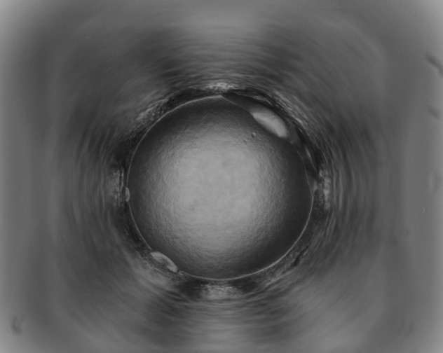 X0000091590605200708271245