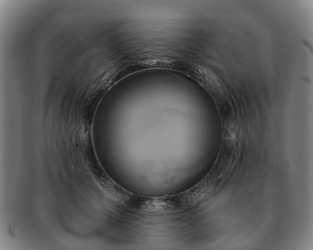 X0000091590607200708271245