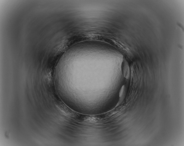 X0000091590611200708271245