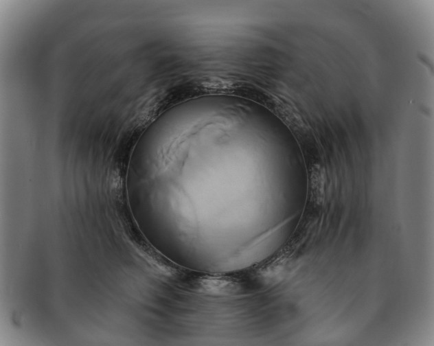 X0000091590614200708271245
