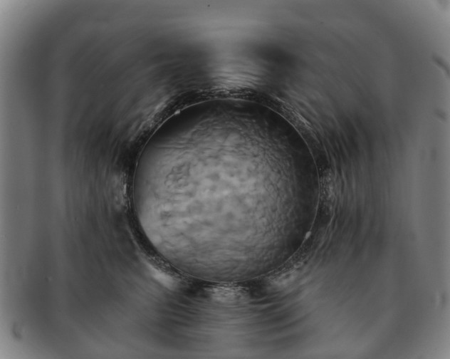 X0000091590615200708271245
