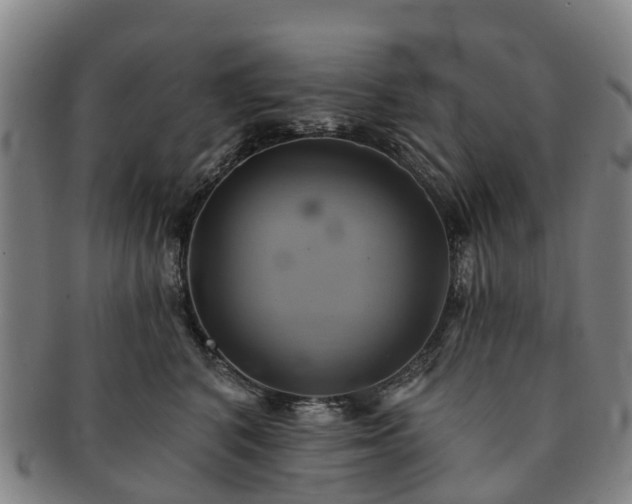 X0000091590616200708271245