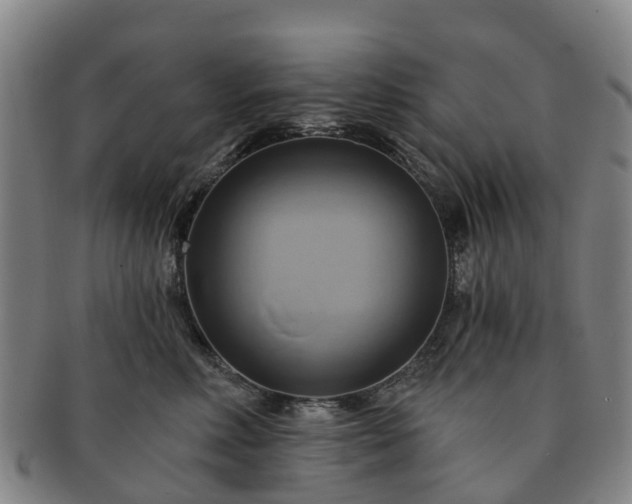 X0000091590618200708271245