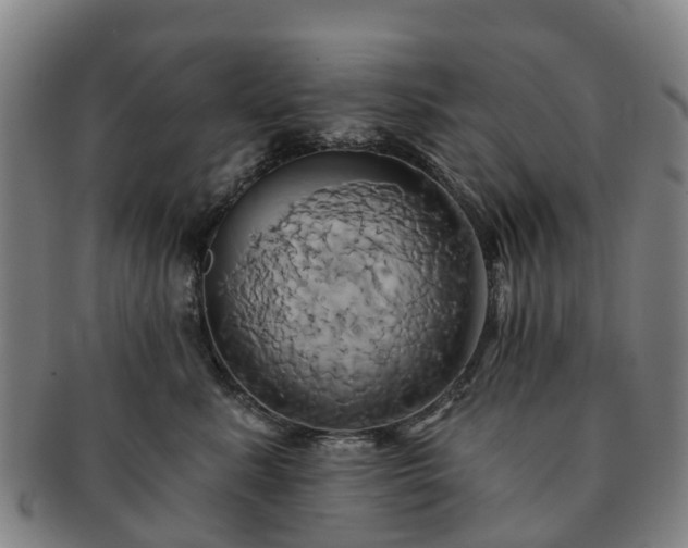 X0000091590619200708271245