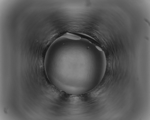 X0000091590620200708271245
