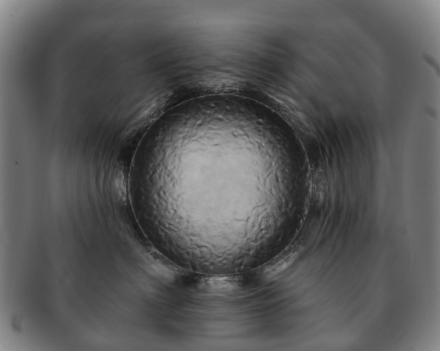 X0000091590622200708271245