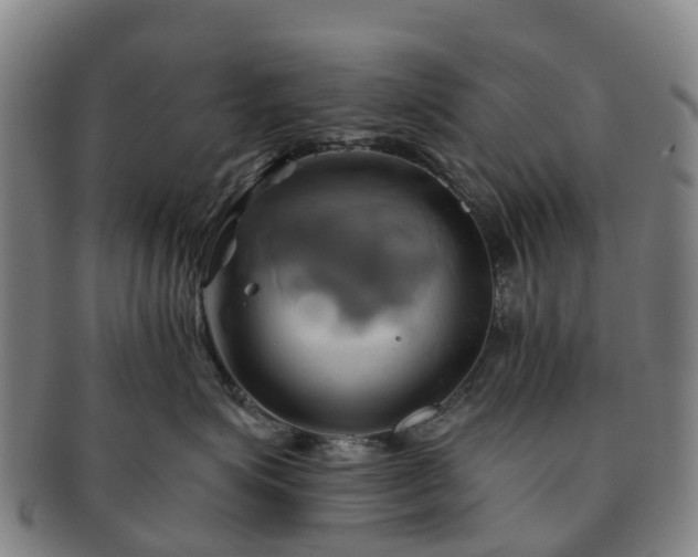 X0000091590623200708271245