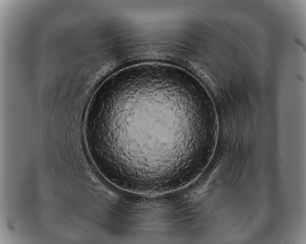 X0000091590625200708271244