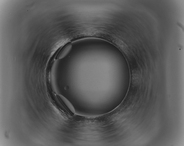 X0000091590626200708271244