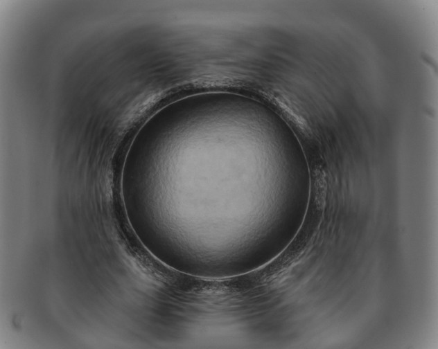 X0000091590631200708271244
