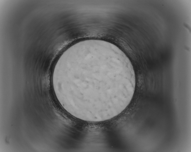 X0000091590632200708271244