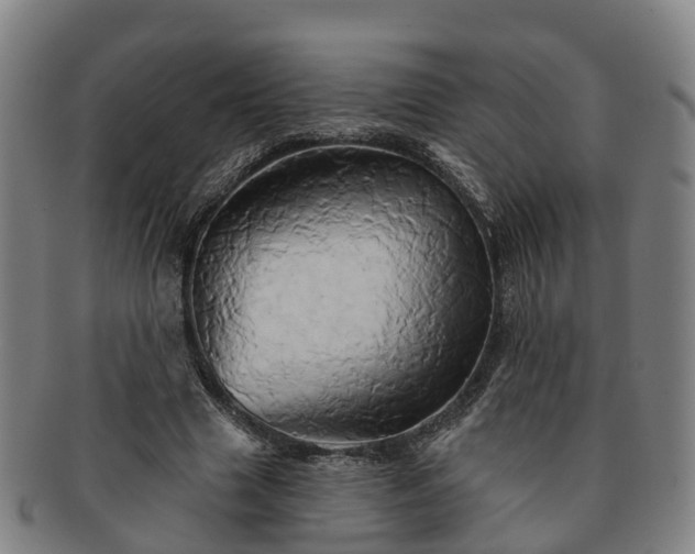 X0000091590633200708271244
