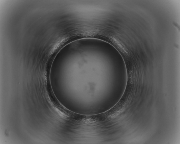 X0000091590634200708271244