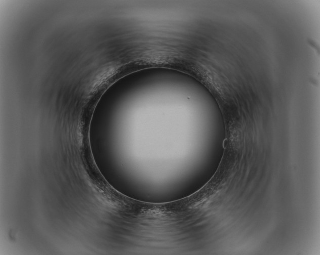 X0000091590635200708271244