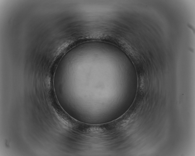 X0000091590636200708271244
