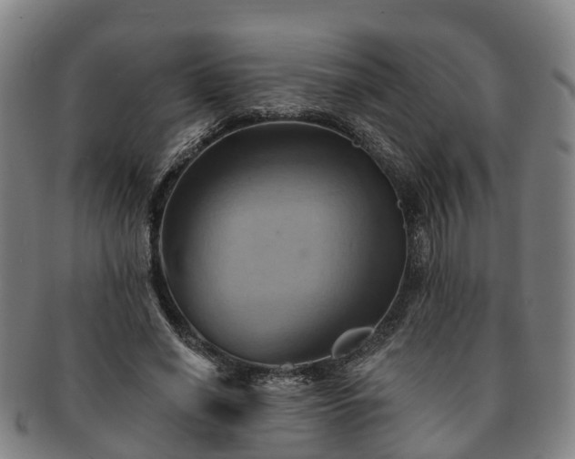 X0000091590638200708271244