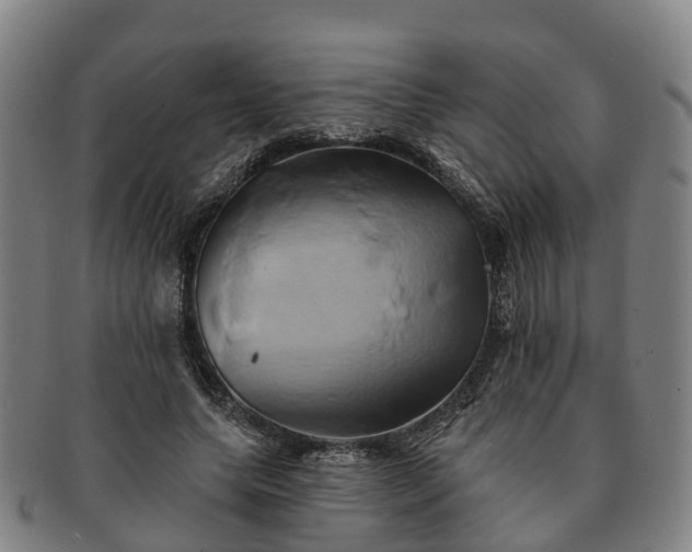 X0000091590639200708271244