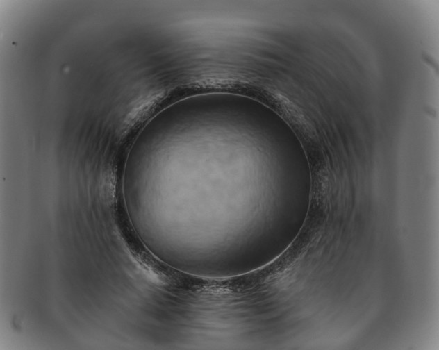 X0000091590640200708271244