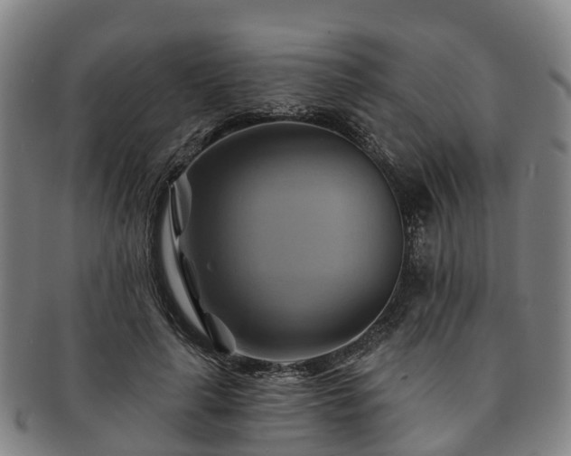 X0000091590643200708271244