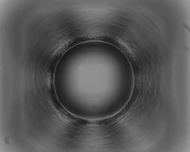 X0000091590644200708271244