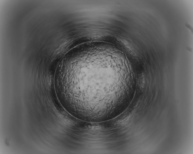 X0000091590645200708271244