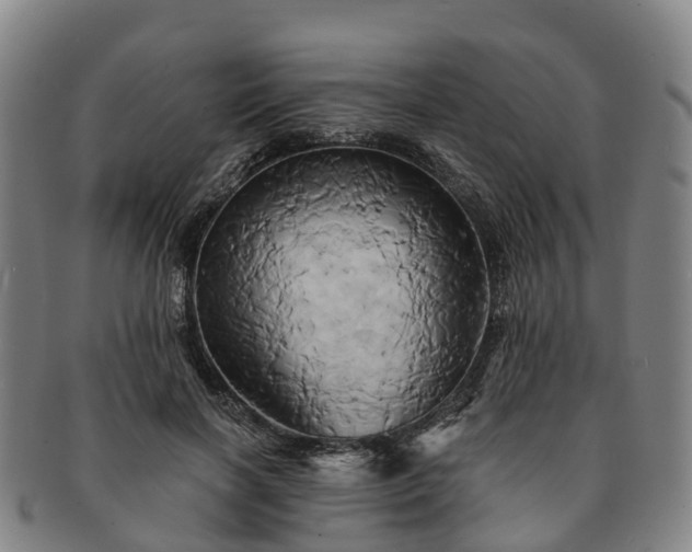 X0000091590646200708271244