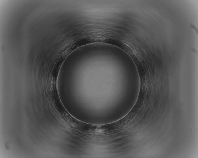 X0000091590647200708271244