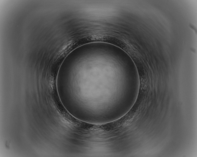 X0000091590648200708271244