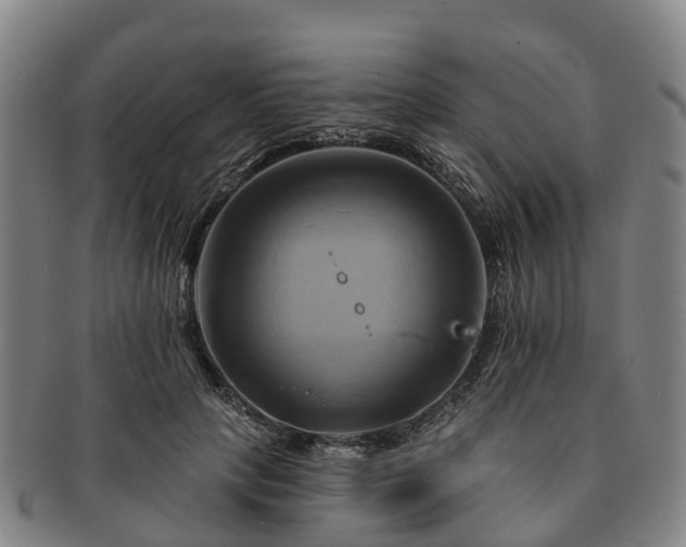 X0000091590649200708271244